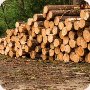 Buy premium quality timber online - Madurai